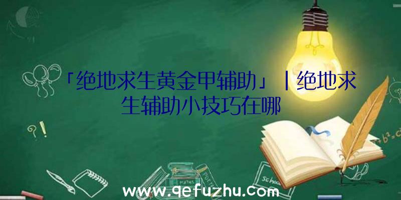 「绝地求生黄金甲辅助」|绝地求生辅助小技巧在哪